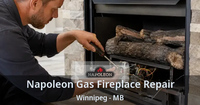 Napoleon Gas Fireplace Repair Winnipeg - MB