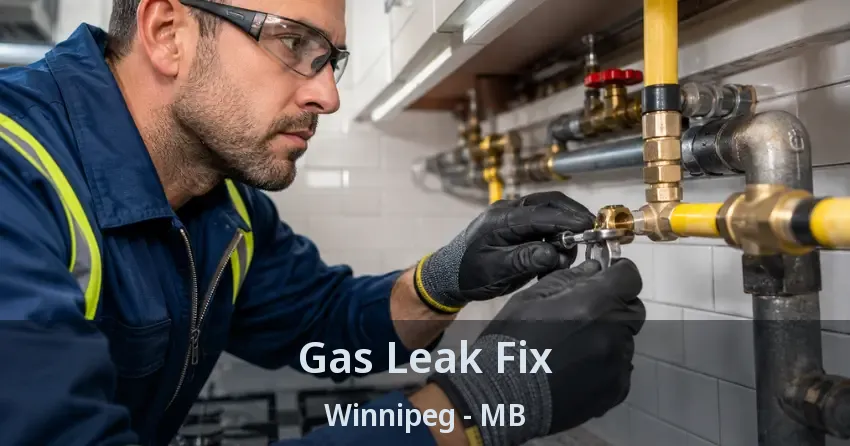 Gas Leak Fix Winnipeg - MB