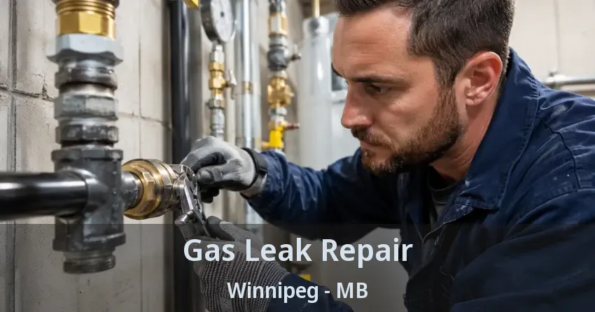 Gas Leak Repair Winnipeg - MB