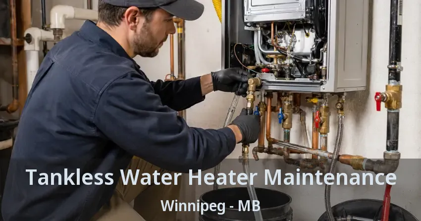 Tankless Water Heater Maintenance Winnipeg - MB